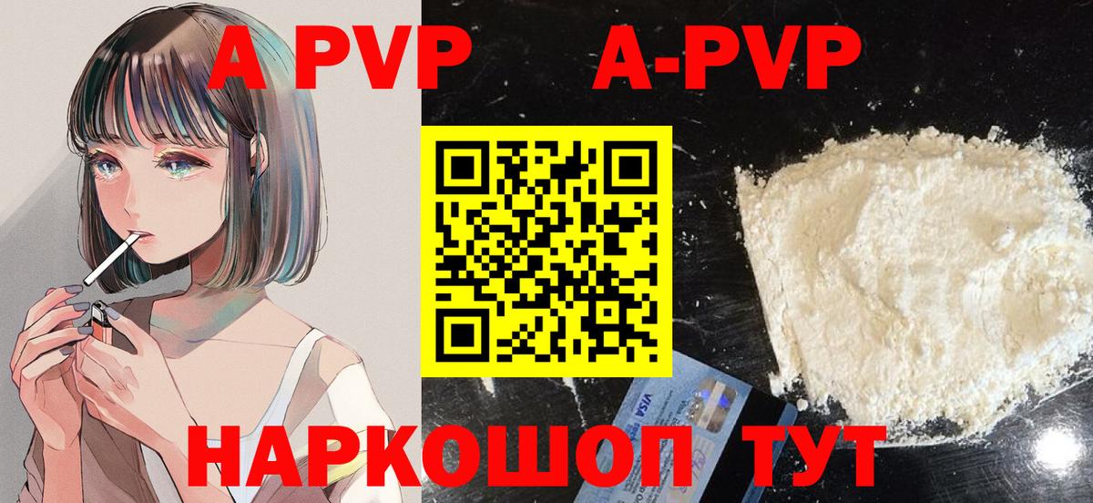 A PVP СК Сокол