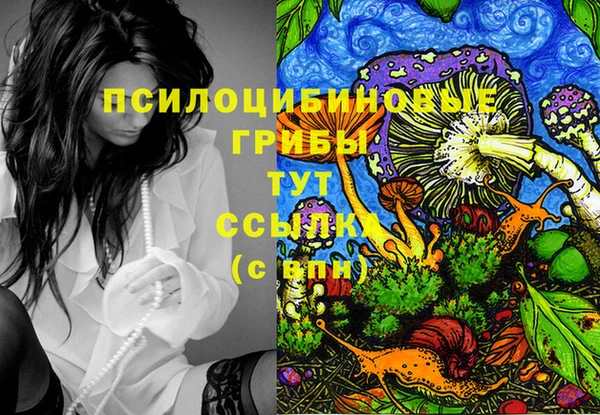 кокаин премиум Невель