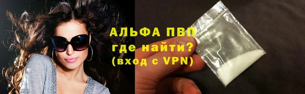 мдпв Каменка