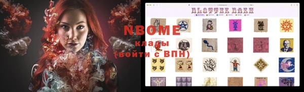 стаф Каменногорск