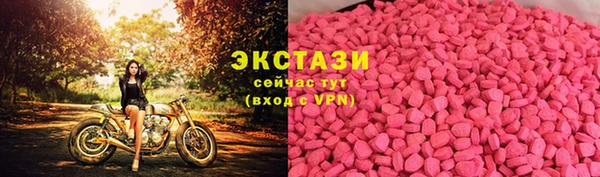 мдпв Каменка