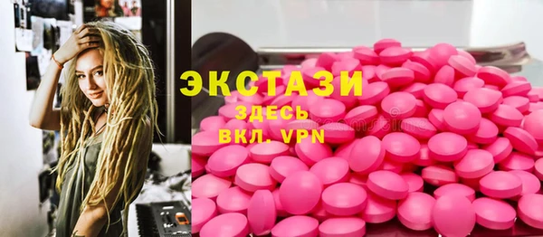 стаф Каменногорск