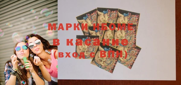 стаф Каменногорск