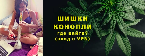 мдпв Каменка