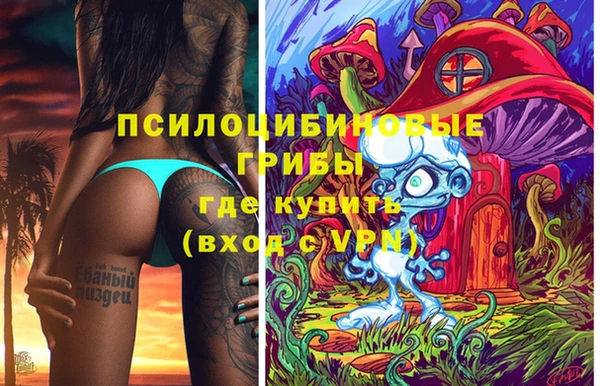 мдпв Каменка