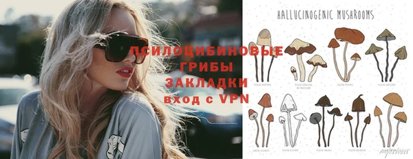 стаф Каменногорск