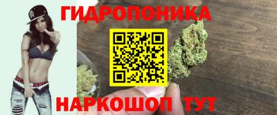 стаф Гусиноозёрск