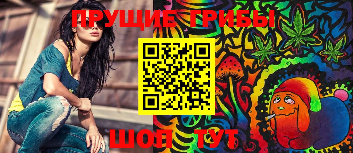 Сокол  Псилоцибиновые грибы мицелий  Вход с VPN 